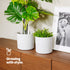 22cm Round Sandstone Plastic Plant Pot White - Set of 2